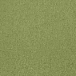 EverSoft™ Indoor/Outdoor Green 54" Vinyl Fabric 9 EverSoft™ Indoor/Outdoor Green 54" Vinyl Fabric -Cloth Store EverSoft Indoor Outdoor Green 54 Vinyl Fabric 2