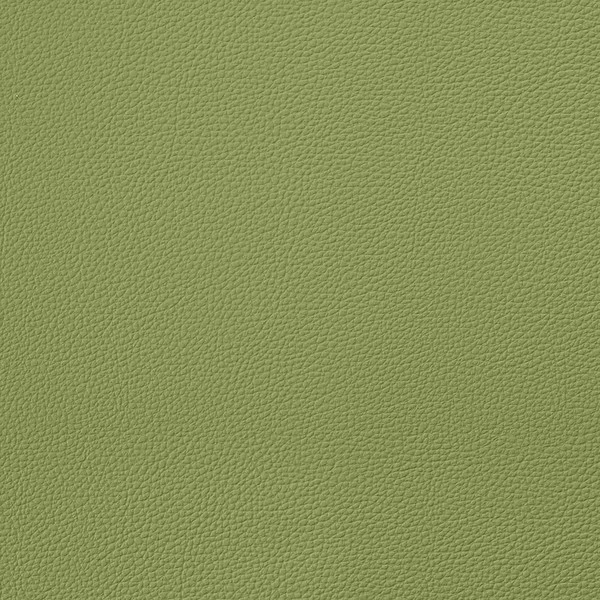 EverSoft™ Indoor/Outdoor Green 54" Vinyl Fabric 4 EverSoft™ Indoor/Outdoor Green 54" Vinyl Fabric - Image 2