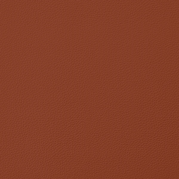 EverSoft™ Indoor/Outdoor Rust 54" Vinyl Fabric 4 EverSoft™ Indoor/Outdoor Rust 54" Vinyl Fabric - Image 2