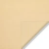 Stamoid™ Top 12.64 Oz. Sand 59" Vinyl Fabric -Cloth Store Stamoid Top 12 64oz Sand 59 Vinyl Fabric 1