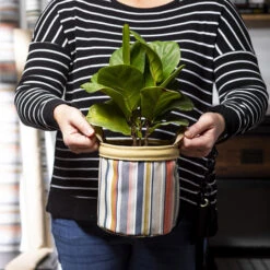 Sunbrella® 57016-0003 Highlight Splendor 54" Upholstery Fabric -Cloth Store Sunbrella 57016 0003 Highlight Splendor 54 Upholstery Fabric 701